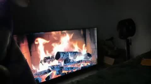 bigbuttsarena online show from June 25, 4:56 am