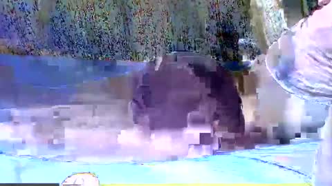 black_berry9 online show from February 9, 2:17 am