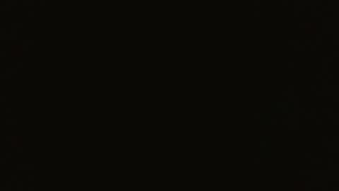 Bloom Petal online show from April 9, 7:52 pm