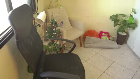 FLORAA online show from December 12, 10:24 am