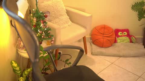 FLORAA online show from December 15, 9:13 am