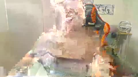 Vian online show from February 15, 6:55 am