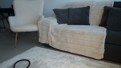 Brandi online show from December 13, 8:43 am