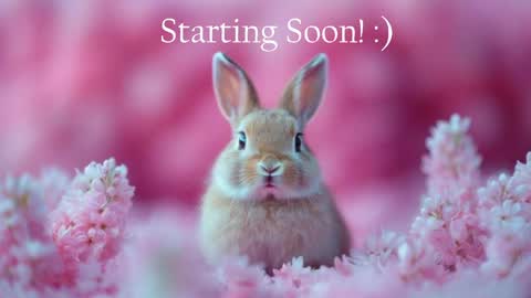 Stella online show from May 18, 9:54 pm
