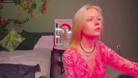 Robin online show from November 19, 11:10 am