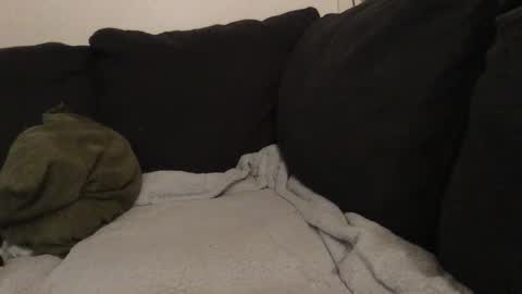     online show from November 11, 7:15 am