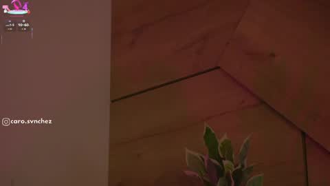 caro_sanchezz online show from May 13, 4:24 pm