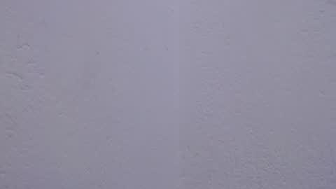 carolina_zabala_19 online show from May 17, 6:40 pm