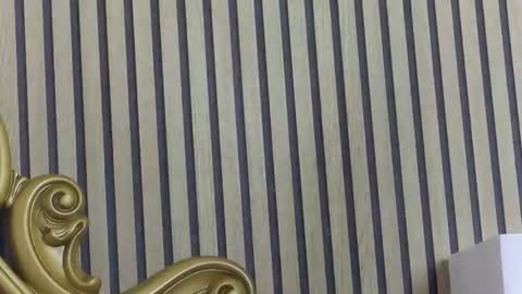 carolinahart online show from April 19, 8:25 am