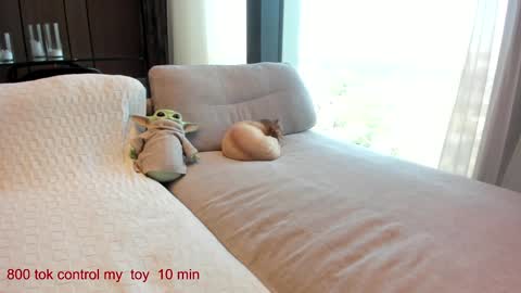 Snapshot of carolinaherera chatting on September 14, 10:35 am Lina.I will online 2 December online show from September 14, 10:35 am