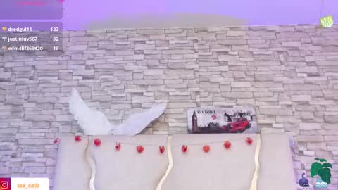 casse_tay online show from February 17, 8:02 am