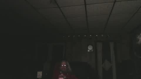 cat online show from January 1, 4:07 am