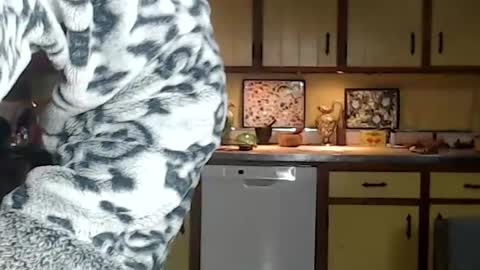 CATALYSTIC online show from November 9, 11:06 am