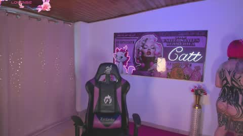 Catt online show from May 21, 3:54 pm