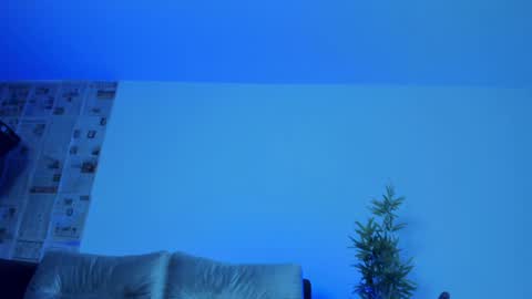Snapshot of charlotte_whitee1 chatting on December 7, 11:29 am Charlotte Everyday From 0700 to 1300 Col Time online show from December 7, 11:29 am