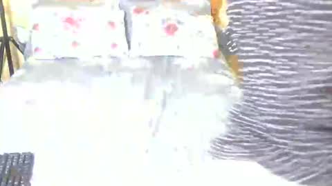 chelsdiva online show from June 4, 8:46 pm