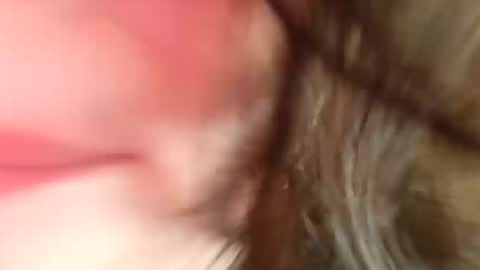 GiaBellaxoxo online show from February 21, 5:20 pm