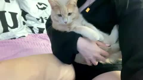 Becky online show from March 24, 2:33 pm