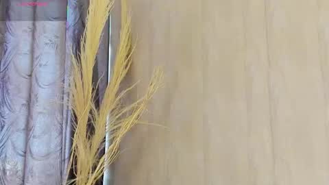 C H L O E  online show from January 17, 12:56 pm