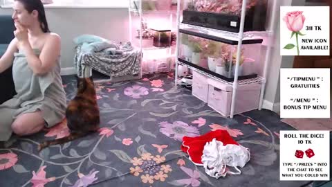 ANR Mommy online show from March 12, 5:04 pm