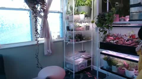 ANR Mommy online show from December 4, 8:20 pm