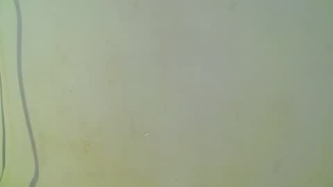 cristal1609 online show from October 8, 2:32 pm