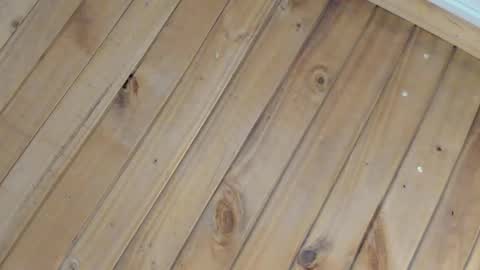 Cristal online show from February 13, 4:25 am