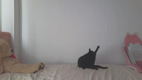 Crystal Blaze online show from October 7, 2:10 pm