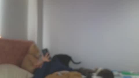 Crystal Blaze online show from October 9, 8:02 pm