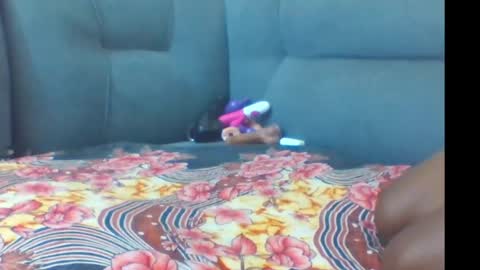 crystallgem online show from March 2, 1:07 pm