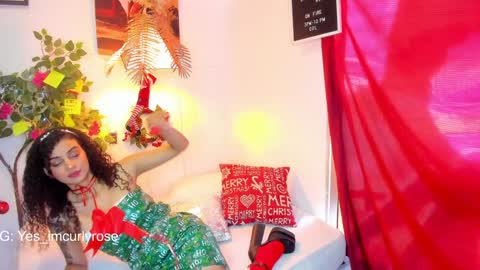 Rose online show from December 27, 6:53 pm