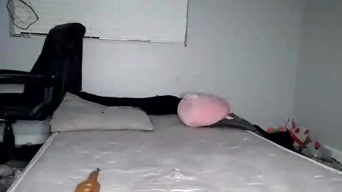 Lucifina ganja kittens online show from December 30, 5:15 am