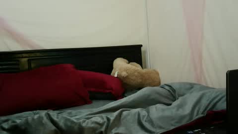 Lilly online show from February 4, 7:39 pm