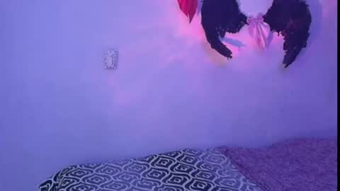 dabria_luxe online show from May 26, 8:13 am