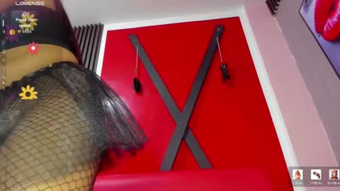 Dajacat online show from May 26, 7:02 pm