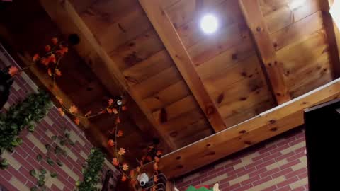 DAYRA ANGELS online show from December 6, 5:31 am
