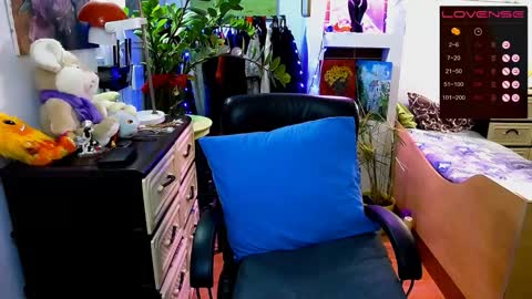 Delicacat online show from December 5, 10:55 am