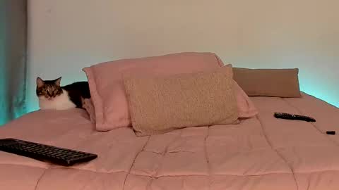 Dilarahkesh  online show from November 10, 6:08 am