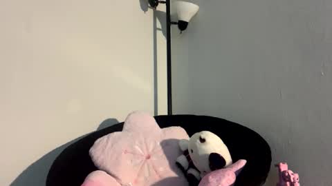 Snapshot of dimedoll33 chatting on September 15, 2:31 am black american princess online show from September 15, 2:31 am