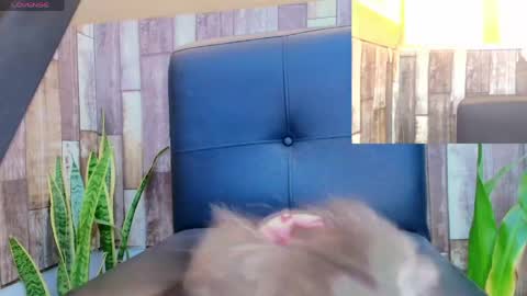 doll_lorenn26 online show from May 27, 6:05 pm