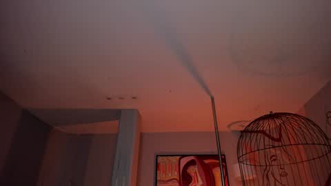 Dominique online show from January 30, 8:42 pm