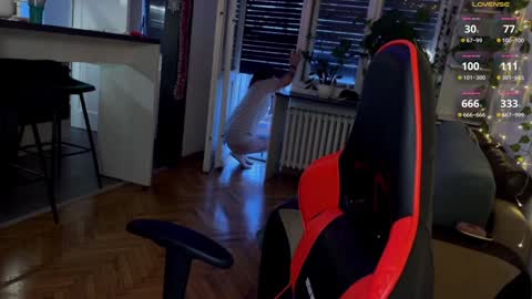 Alice online show from December 26, 6:41 am