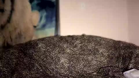 dove_love22 online show from January 11, 1:21 am