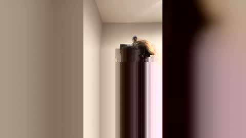 drealicious12 online show from April 7, 6:54 pm