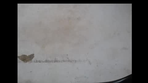 drippussy30 online show from October 29, 7:23 am