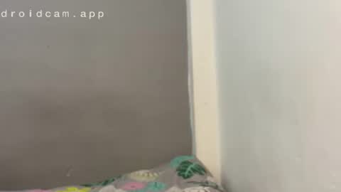 dulceizzy online show from April 3, 12:30 am