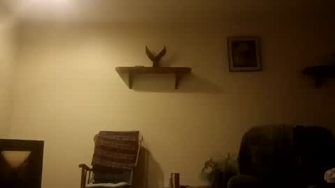 dumbgirl5150 online show from January 17, 8:55 am