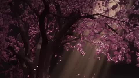 EdenArcadia online show from May 20, 6:54 am