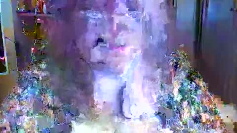 ElenaZed online show from January 27, 7:13 pm