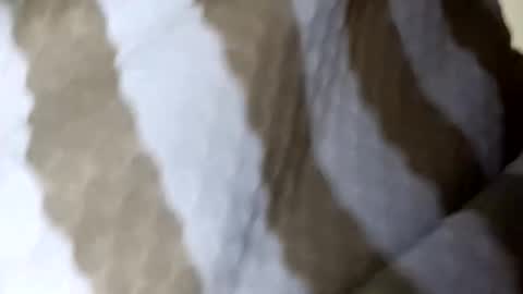 elina_roy03 online show from December 1, 2:37 am